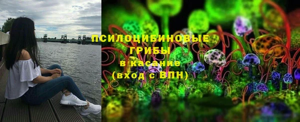 ПСИЛОЦИБИНОВЫЕ ГРИБЫ Володарск