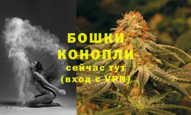 где можно купить   Курчалой  МАРИХУАНА OG Kush 